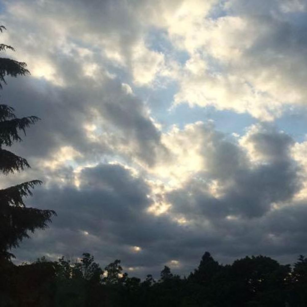 Meet your Posher, Ariel